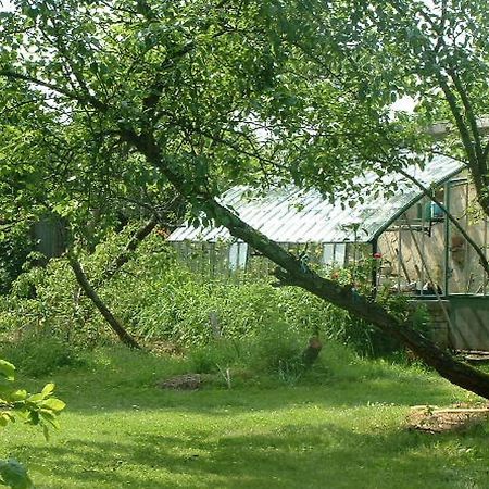 Chambres D'Hotes Le Pont Romain Montfort-le-Gesnois Exterior foto